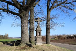 Adendorf (3) – Drei Eichen - ImageShop Online