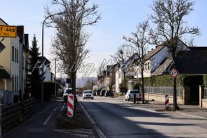 Adendorf (8) – Richtung Meckenheim - ImageShop Online