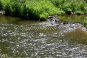 An den Ufer des Flusses Nister - ImageShop