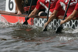 Antrieb von einem Drachenboot - ImageShop