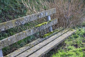 Arzdorf (15) – Verlassene Bank - ImageShop Online