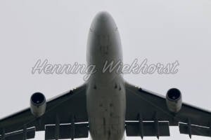 Aufsteigender Jumbo - ImageShop Online