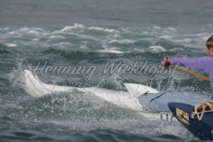 Ausleger-Kanu auf rauher See - ImageShop