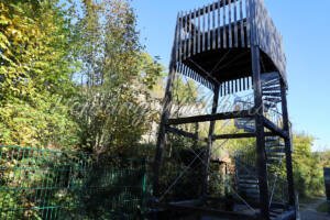 Aussichtsturm Dächelsberg - ImageShop Online