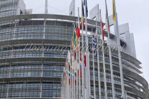 Beflaggte Fahnenmasten vor dem EU-Parlament - ImageShop