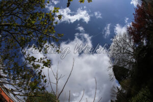 Blauer Himmel mit weißen Wolken - ImageShop