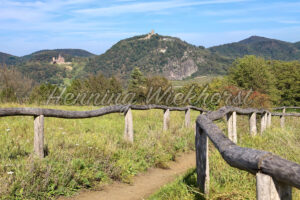 Blick vom Rodderberg auf den Drachenfels - ImageShop