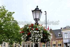 Blumen an einer Strassenlaterne in Gouda - ImageShop