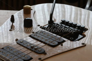 Brücke und Schlagbrett einer E-Gitarre - ImageShop