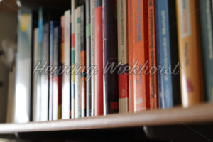Bücher im Regal - ImageShop