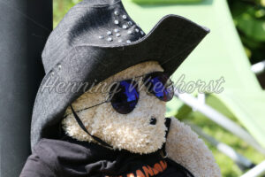 Cooler Teddy - ImageShop