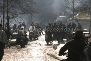 Das Alte Elefantentreffen - ImageShop Online