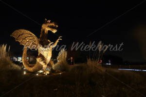 Der Drache von Wachtberg bei Nacht - ImageShop Online