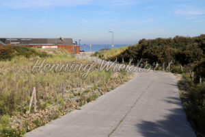 Der Weg zum Meer - ImageShop