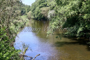 Die Nister im Westerwald - ImageShop