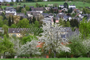 Dorf im Frühling - ImageShop