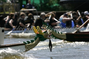 Drache im Wettkampf - ImageShop