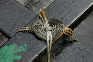 Drachenboot-Konstruktion (2) - ImageShop