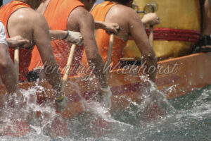 Drachenboot: Nah ‘dran an der Action (2) - ImageShop