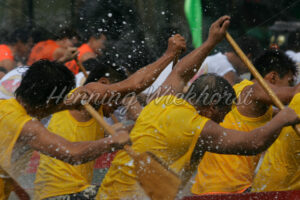 Drachenboot-Team im Rennen - ImageShop