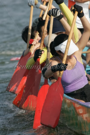 Drachenboot-Training 2 - ImageShop