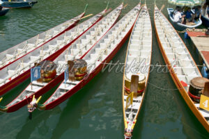 Drachenboote machen Pause - ImageShop