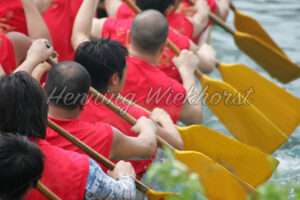 Drachenbootmannschaft mit Paddel - ImageShop