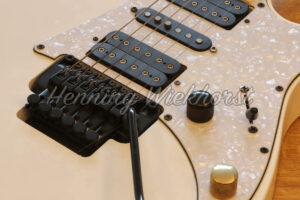 E-Gitarren-Korpus mit Bedienelementen - ImageShop