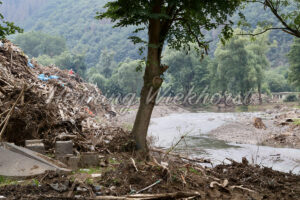 Ein Baum im Ahrtal (3 Wochen n. d. Flut) - ImageShop