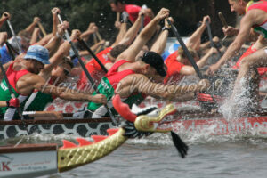 Ein Drache im Rennen - ImageShop