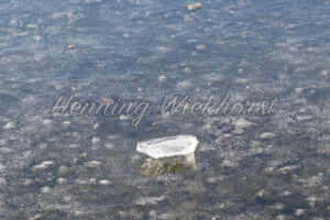 Ein Eis-Klotz auf dem Eis - ImageShop