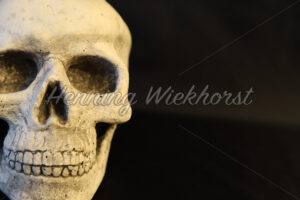 Einfacher Totenkopf - ImageShop