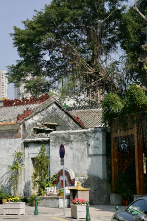 Eingang eines Tempels - ImageShop