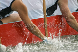 Eingetauchtes Drachenboot-Paddel - ImageShop