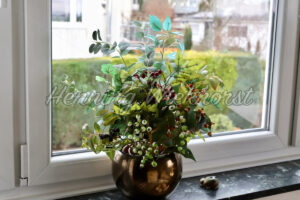 Fensterpflanze - ImageShop