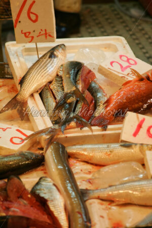 Fischauslage am Markt von Wan Chai - ImageShop