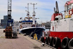 Fischereischiffe im Hafen - ImageShop