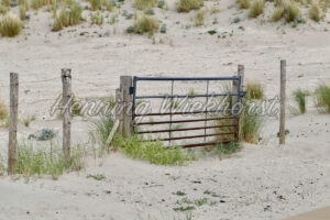 Gatter-Tor in den Dünen - ImageShop