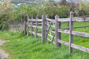 Gatter im Zaun - ImageShop