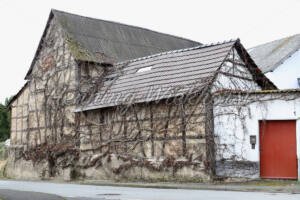 Gimmersdorf (17) – Alter, verwachsener Bauernhof - ImageShop Online