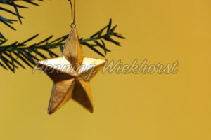 Goldener Stern vor Tannenzweig - ImageShop