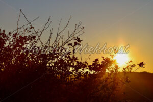 Goldenes Herbstwetter - ImageShop