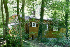 Haus im Wald - ImageShop