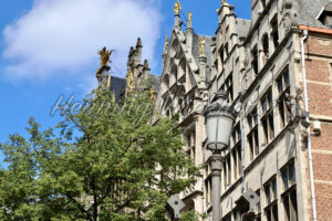 Hausfassaden hinter einem Baum - ImageShop