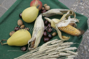 Herbst-Ernte - ImageShop