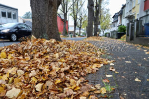 Herbst-Laub auf dem Gehweg - ImageShop