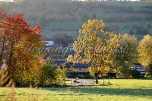 Herbstfarben am Rodderberg (4) - ImageShop Online