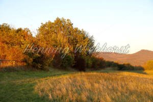 Herbstfarben am Rodderberg (6) - ImageShop Online