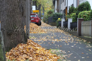 Herbstlaub auf dem Gehweg - ImageShop