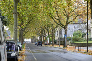 Herbstliche Allee - ImageShop